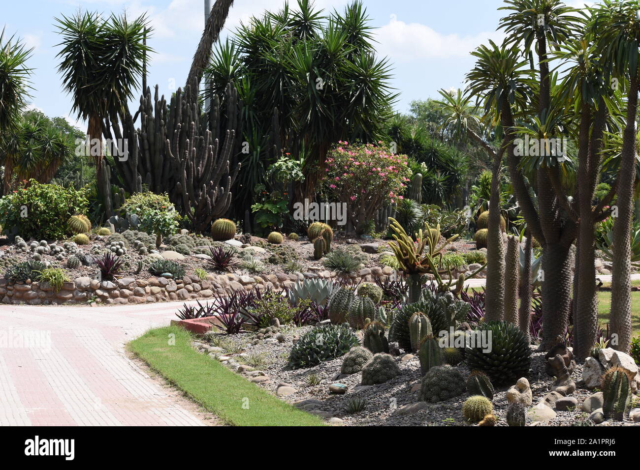 National Cactus and Succulent Botanical Garden and Research Centre