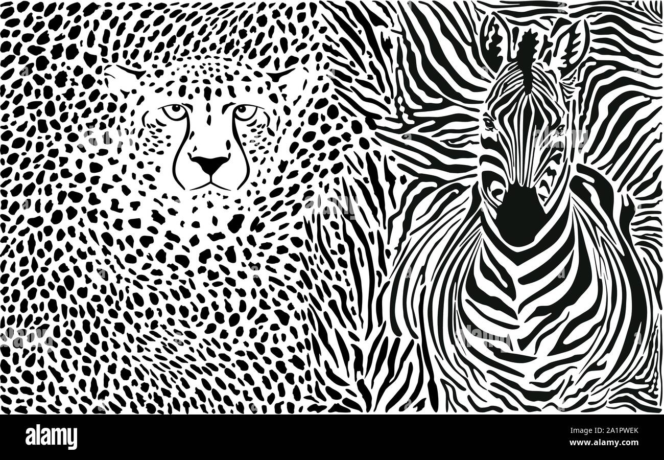Zebra and cheetah and pattern Stock Vector