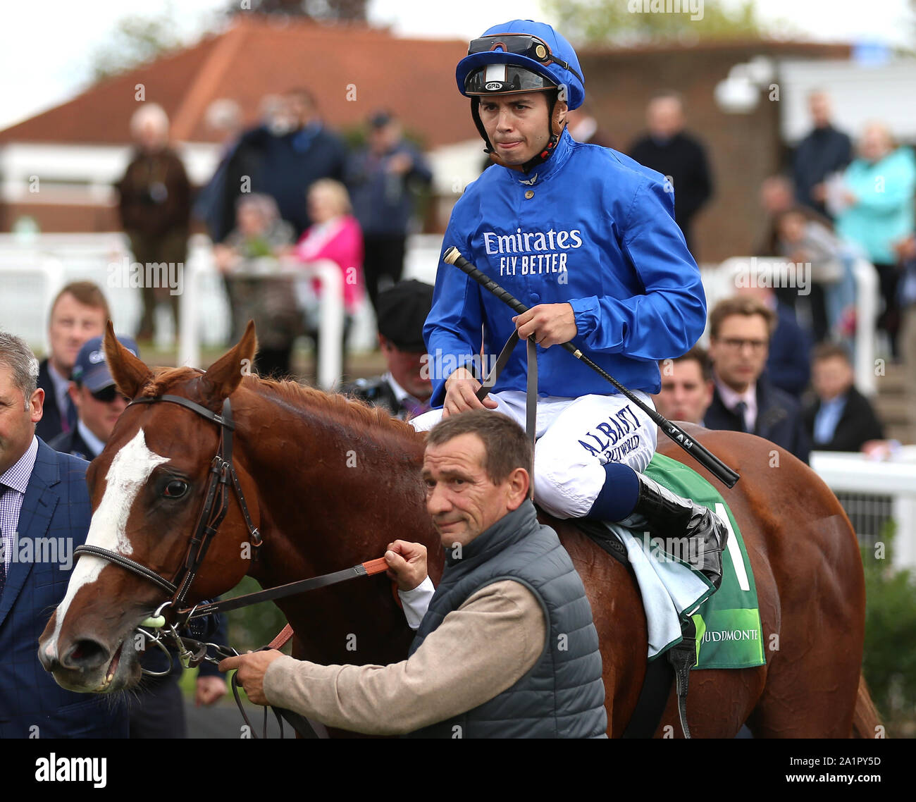 Earthlight horse hires stock photography and images Alamy
