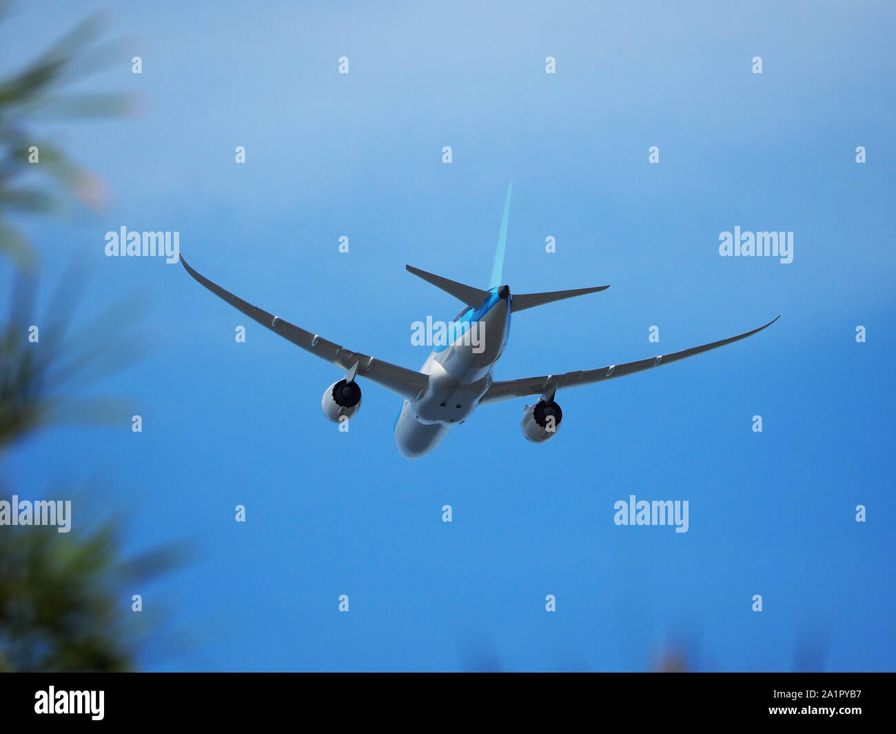 A passenger plane flies to land on a tropical island. View from the