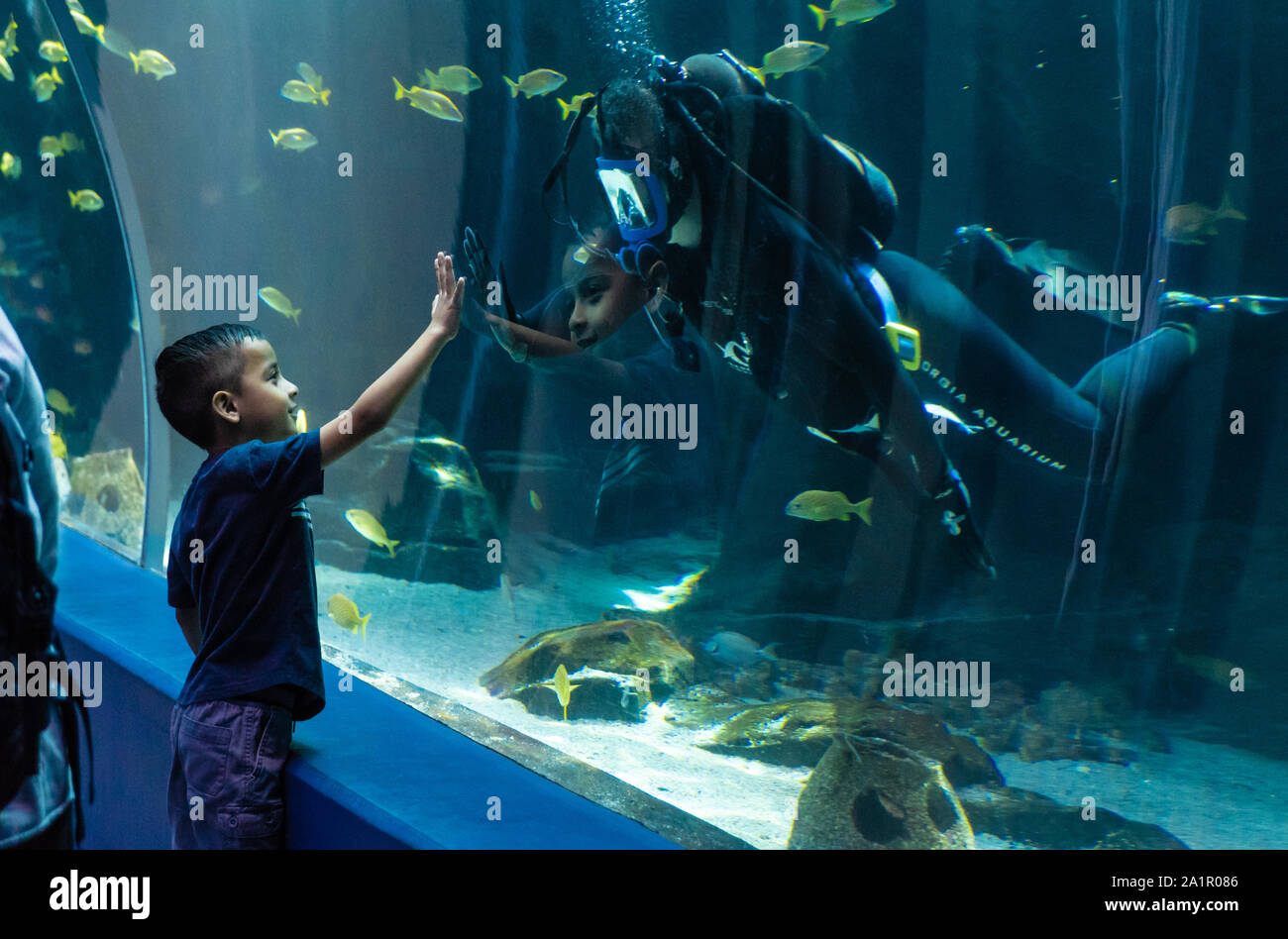 Child and diver touch hands to either side of the acrylic tunnel at the Georgia Aquarium in downtown Atlanta, Georgia. (USA) Stock Photo