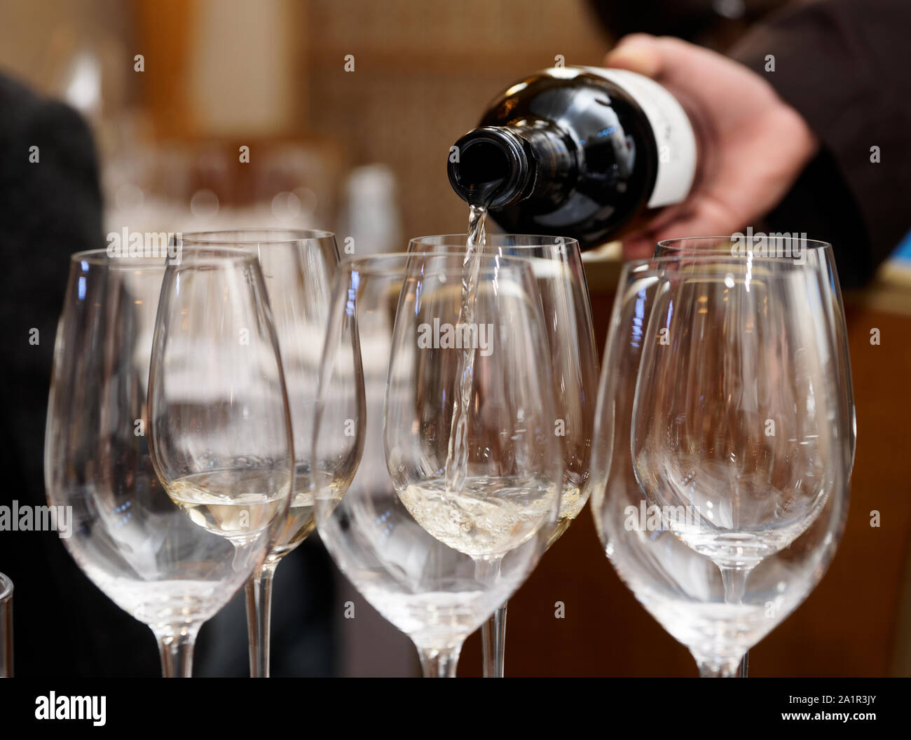 Waiter is pouring white wine in glass Stock Photo Alamy