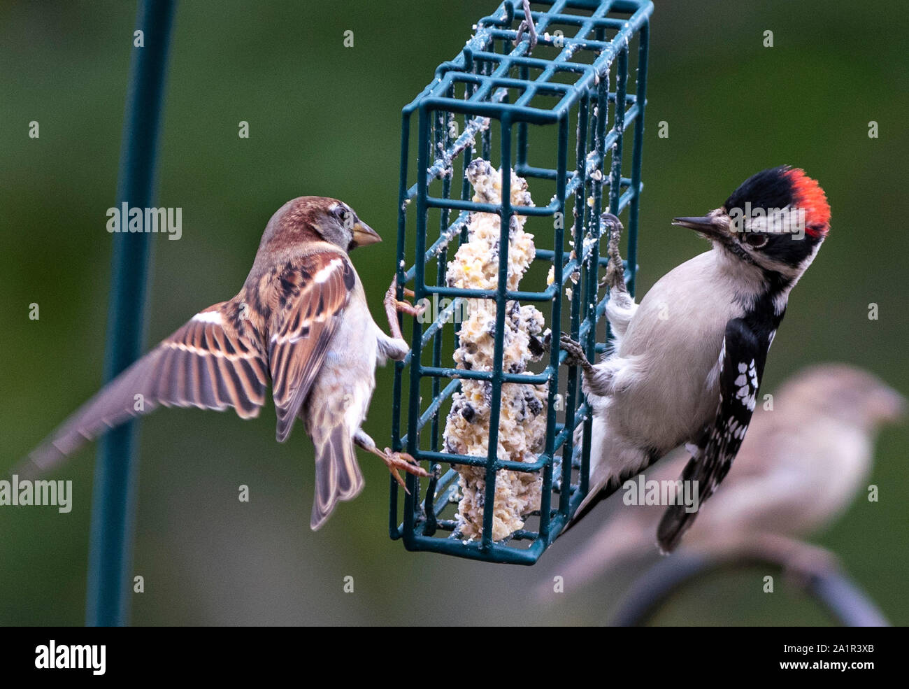 Opposite sides hi-res stock photography and images - Alamy