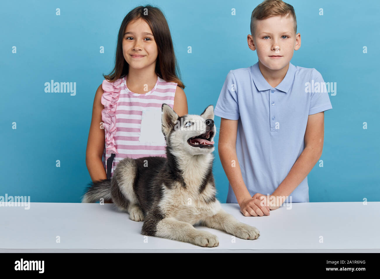 Dog barking at child sales