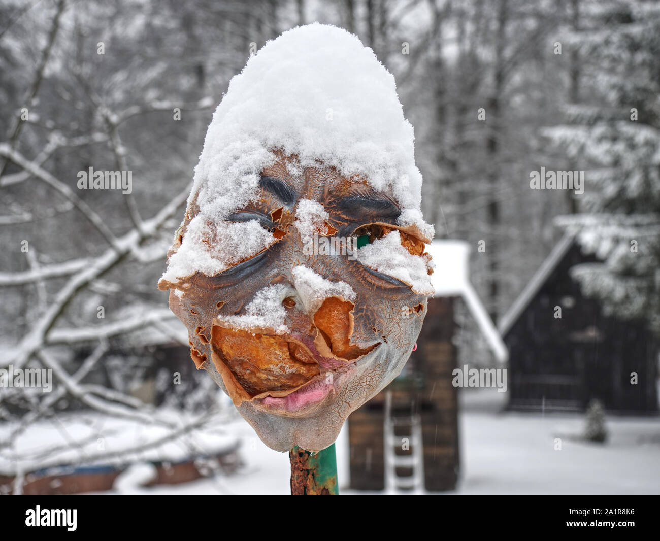 Chopped head with grimacing grimace stabbed on the fence. Haunted House. Stock Photo