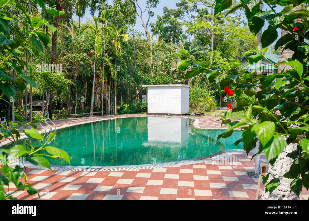Palm fringed outdoor swimming pool in lush tropical garden grounds of