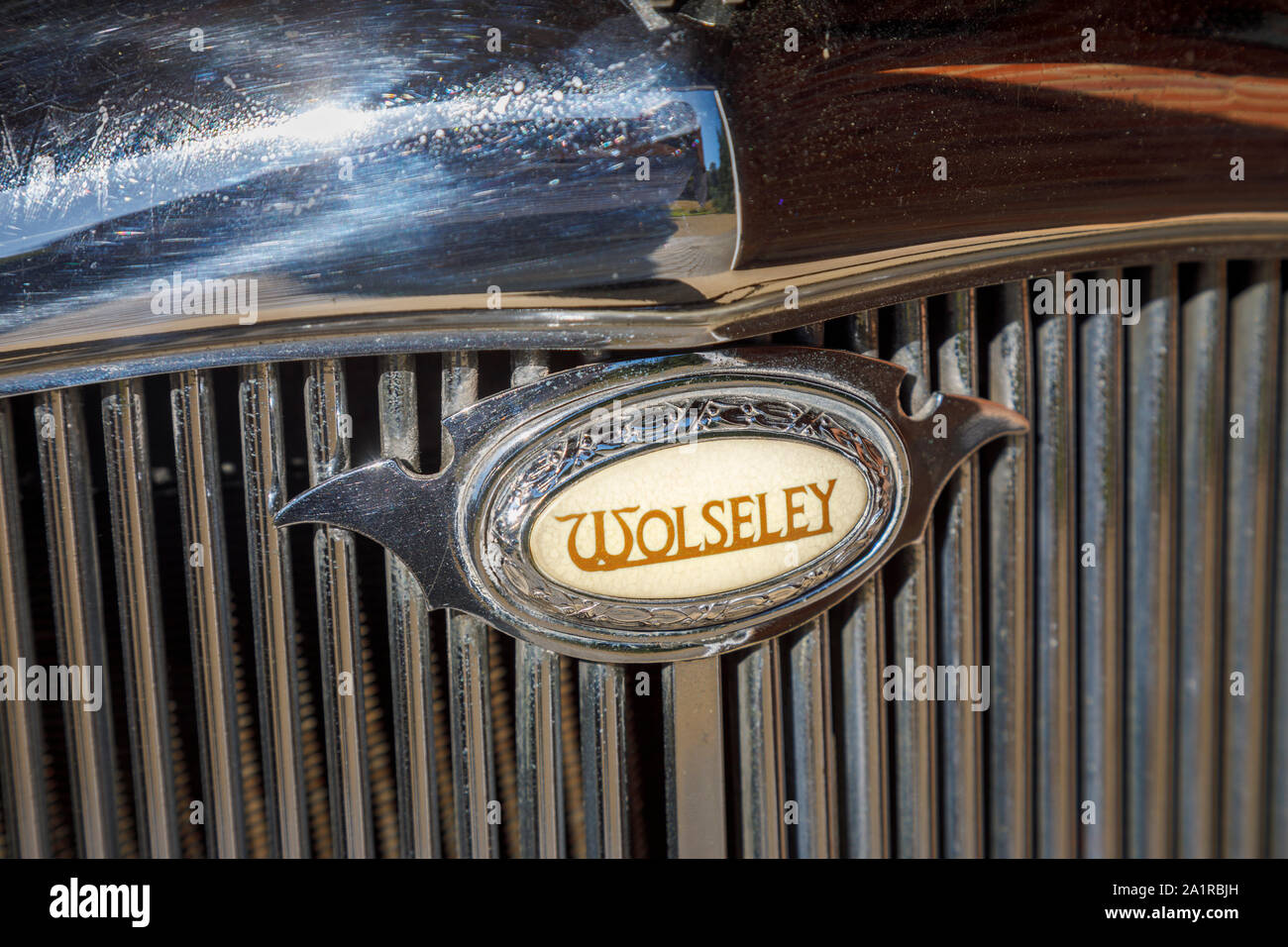 Wolseley 8 e 12 distributore PAC 1946-48