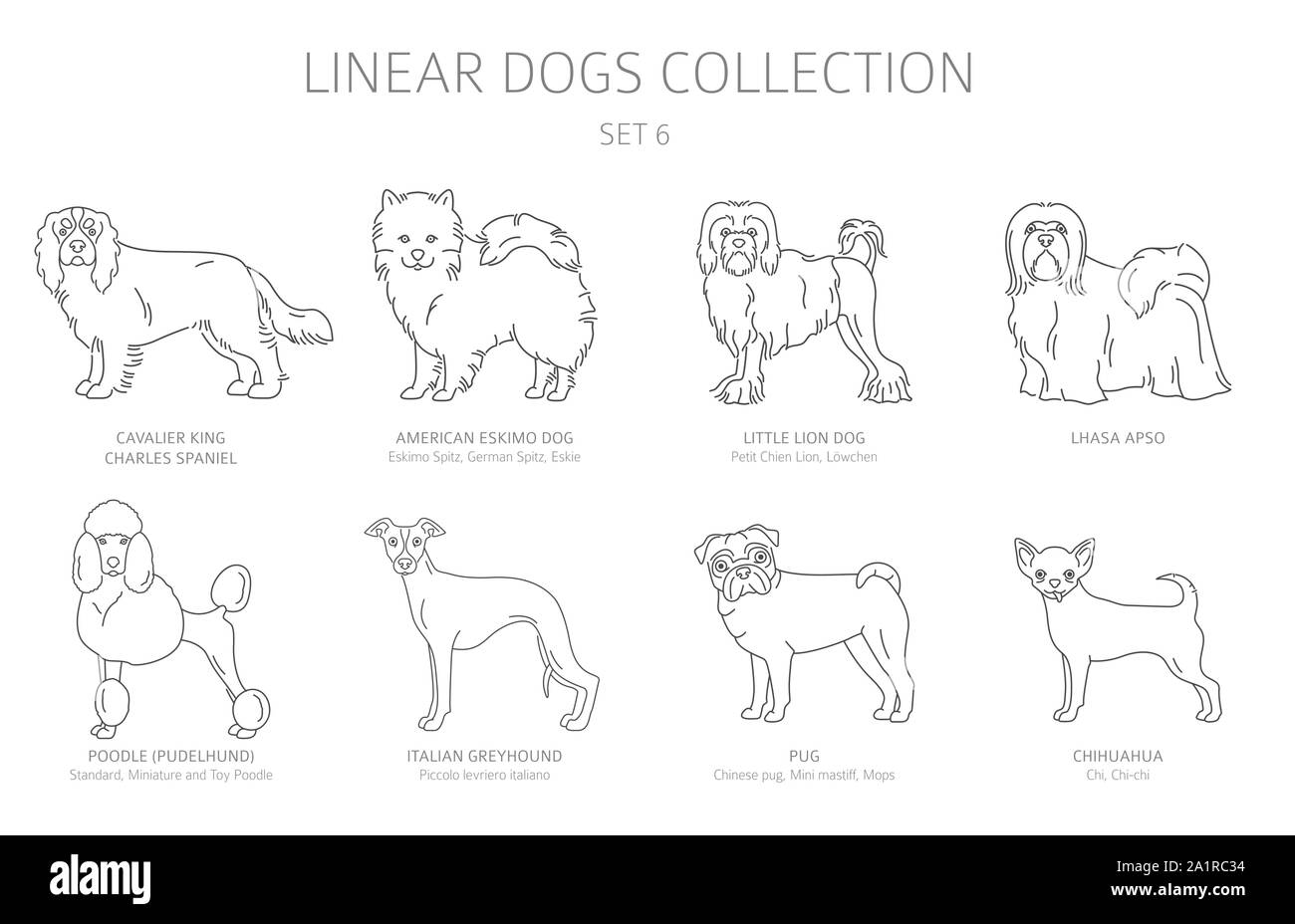 Simple line dogs collection isolated on white. Dog breeds. Flat style clipart set. Vector illustration Stock Vector