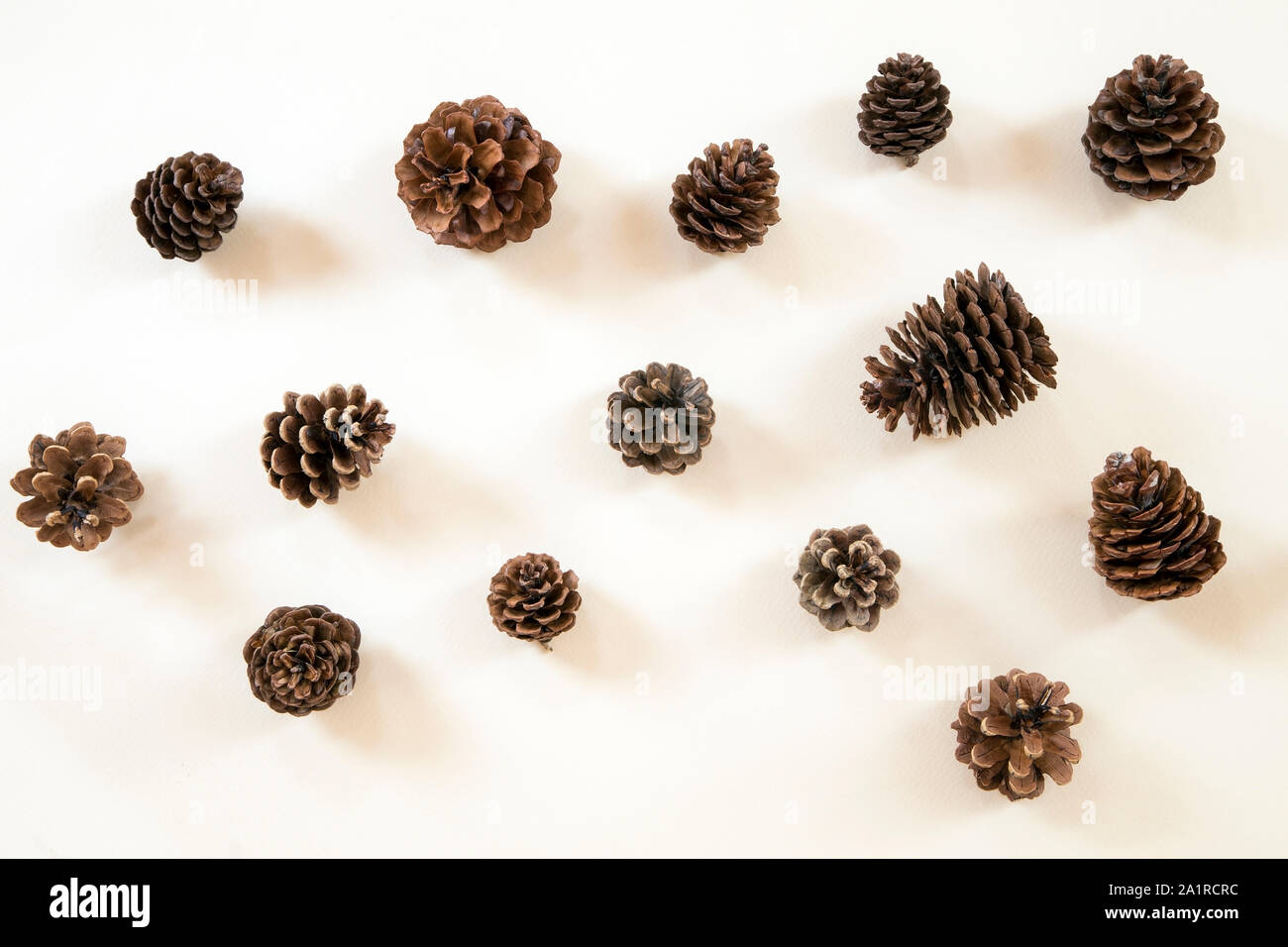 Pine cones on white wooden background Stock Photo