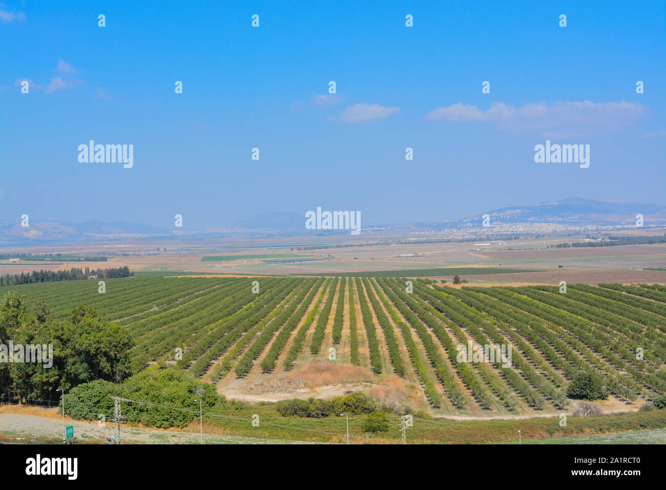 The view over Jezreel Valley at Tel Megiddo. Known as The Valley of