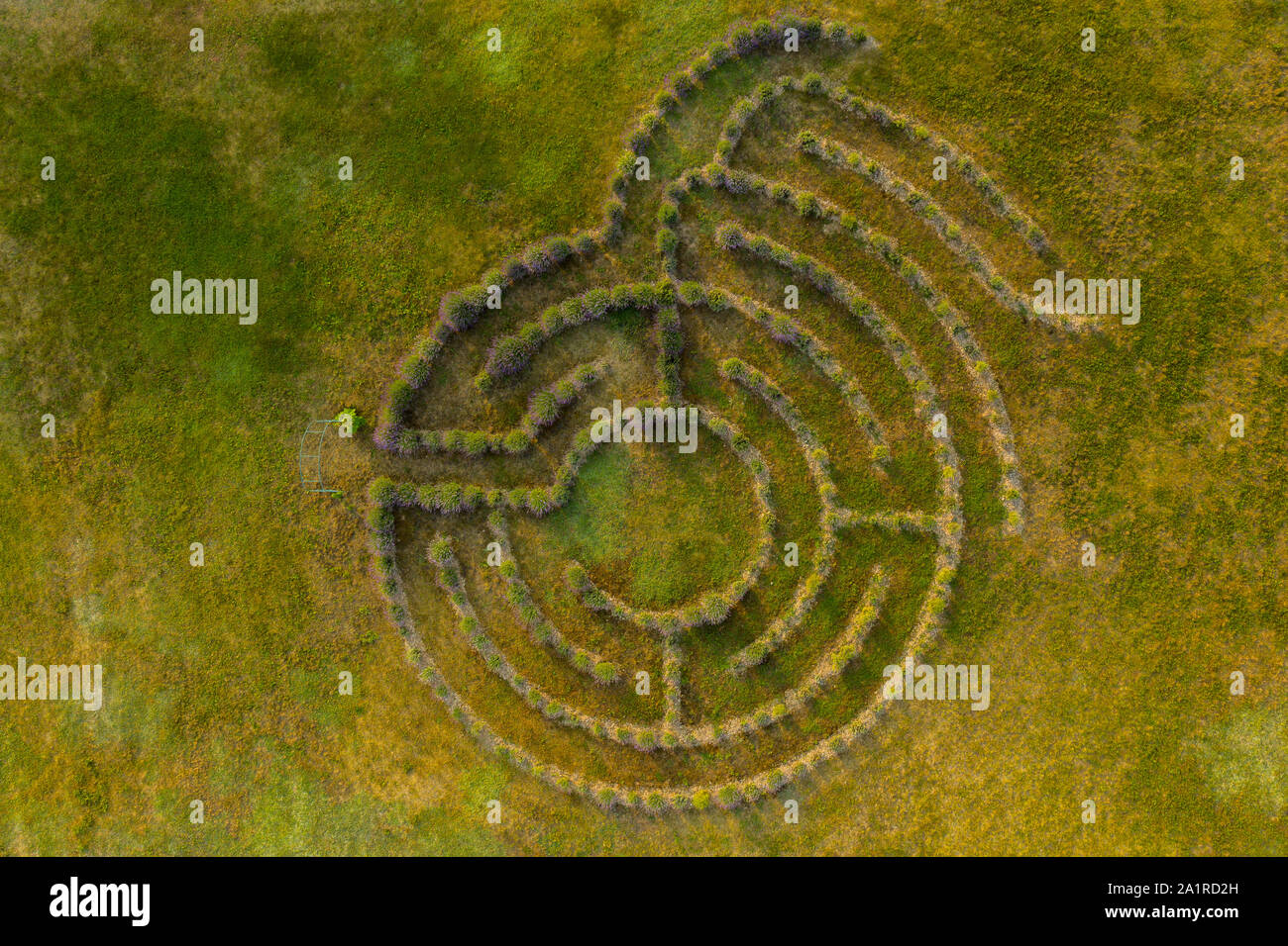 Drone top down photography of decorative lavender maze during summer day. Stock Photo