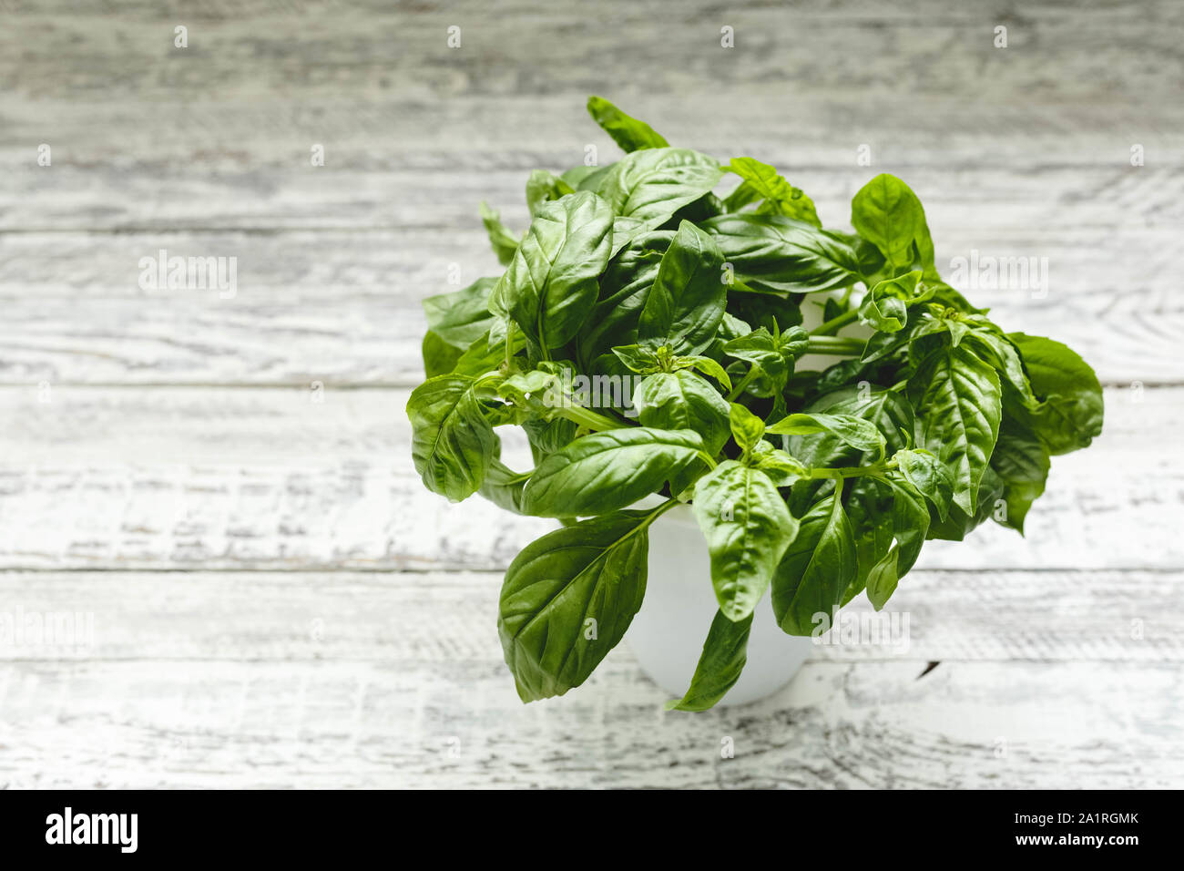 Growing basil sunny kitchen hi-res stock photography and images - Alamy