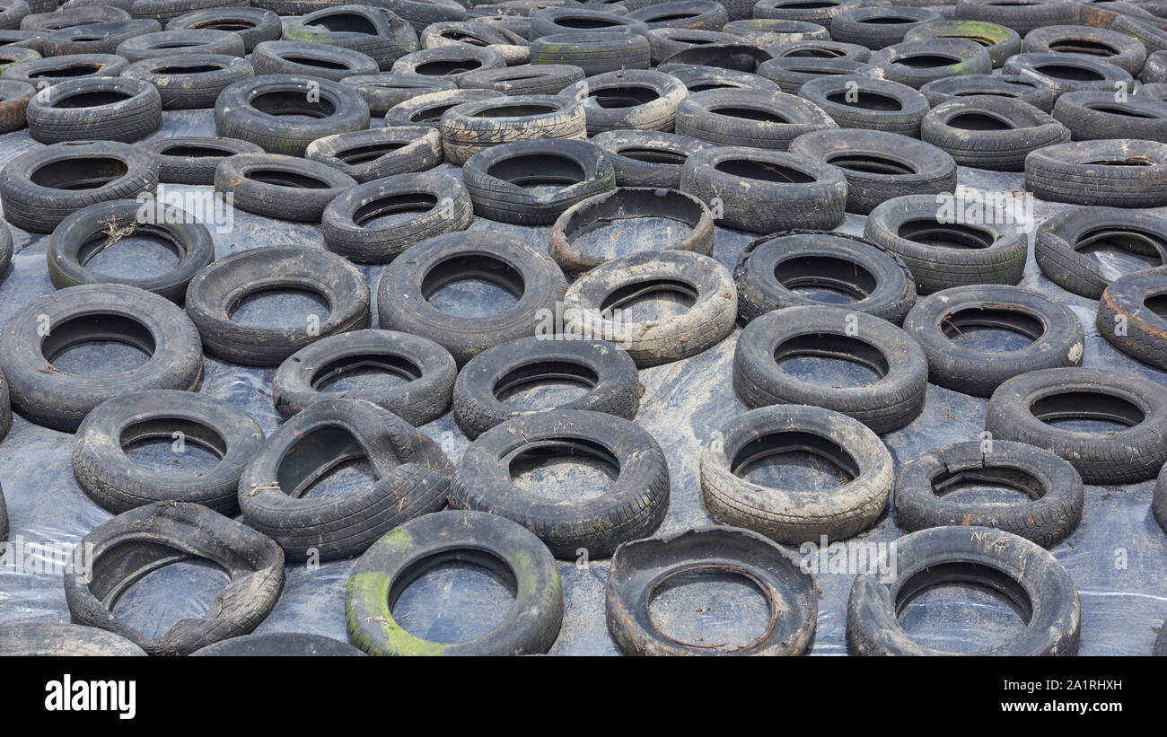 Trip to Ireland (May 1929, 2019) Kilkenny Farmhouse Kilkenny, Ireland