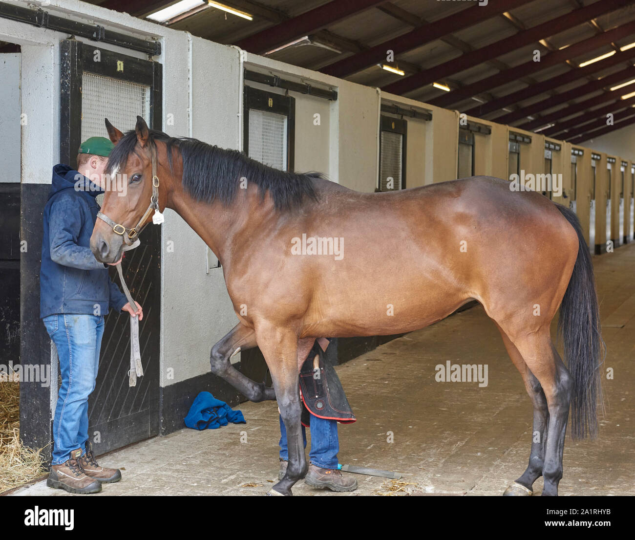 Ireland Trip (May 1929, 2019) Irish National Stud & Gardens. Kildare