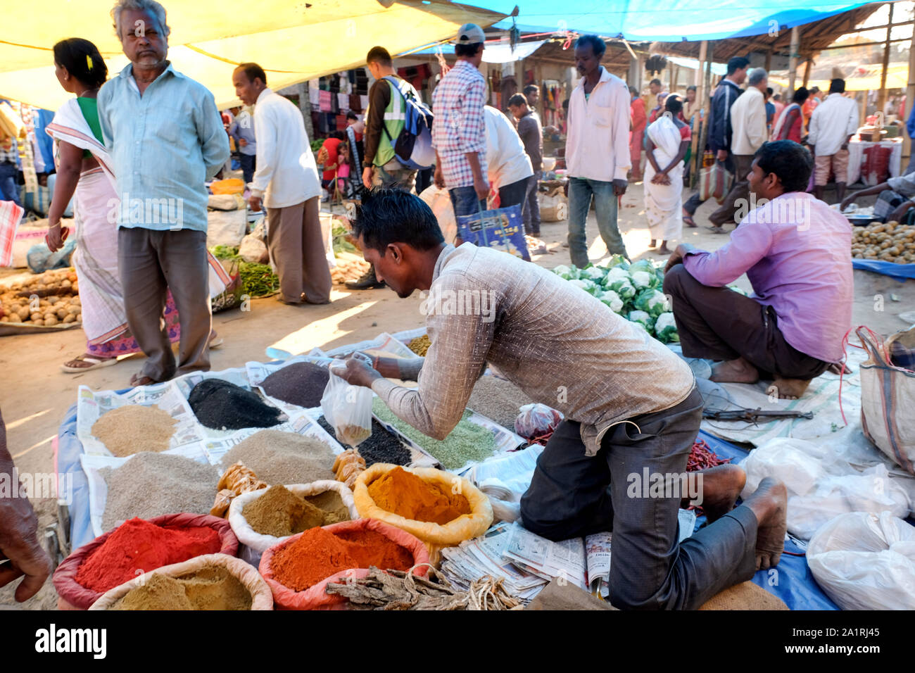 Assam Farmer Stock Photos & Assam Farmer Stock Images Alamy