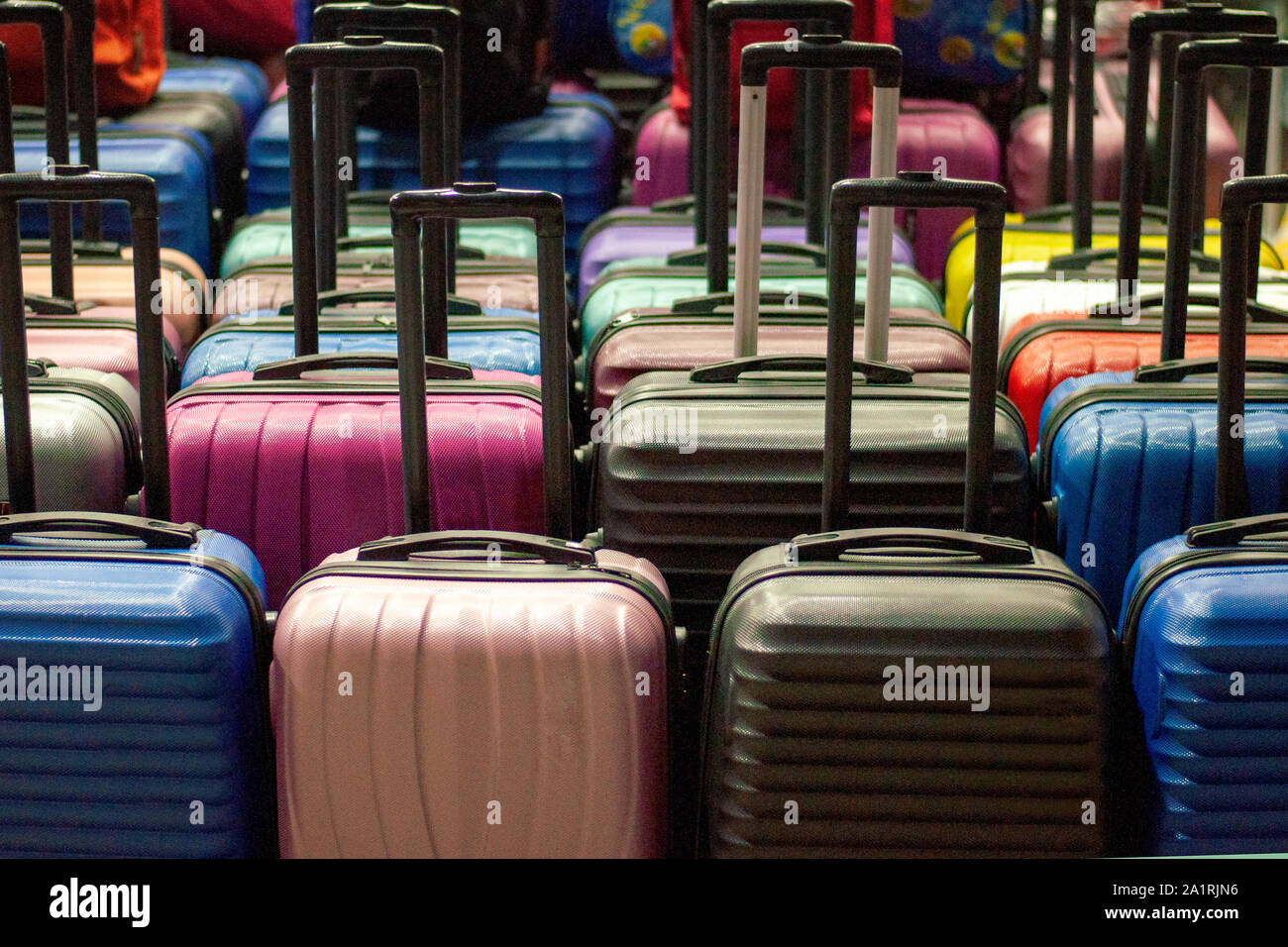 Boutique luggage brands shop
