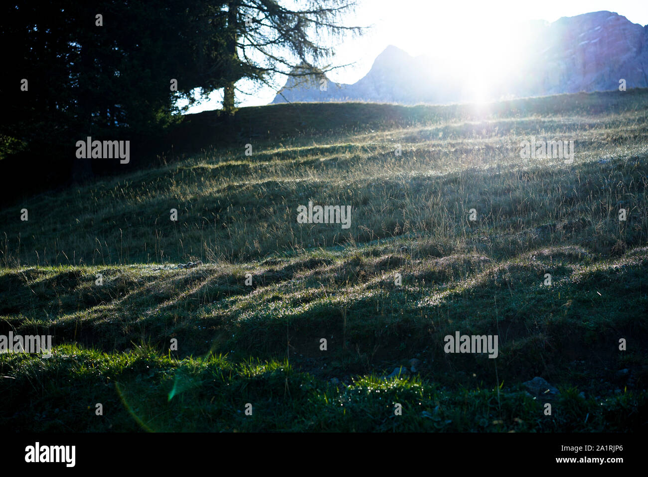 Dolomiti di Brenta in September - Trentino Alto Adige, Italy Stock Photo
