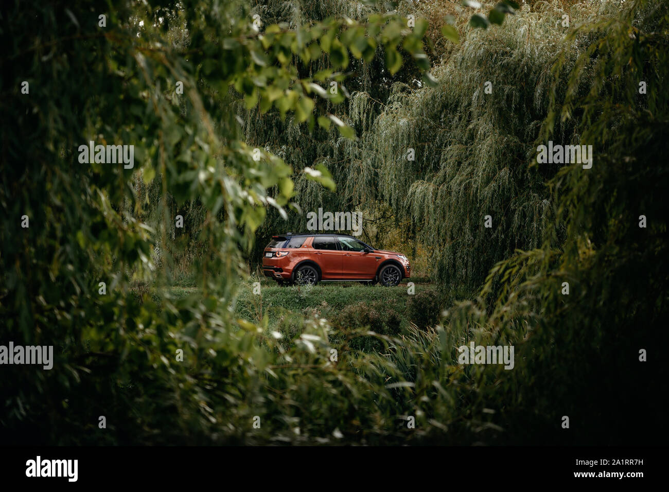 Minsk, Belarus - September 24, 2019: Land Rover Discovery Sport in autumn dense forest forest landscape. Stock Photo