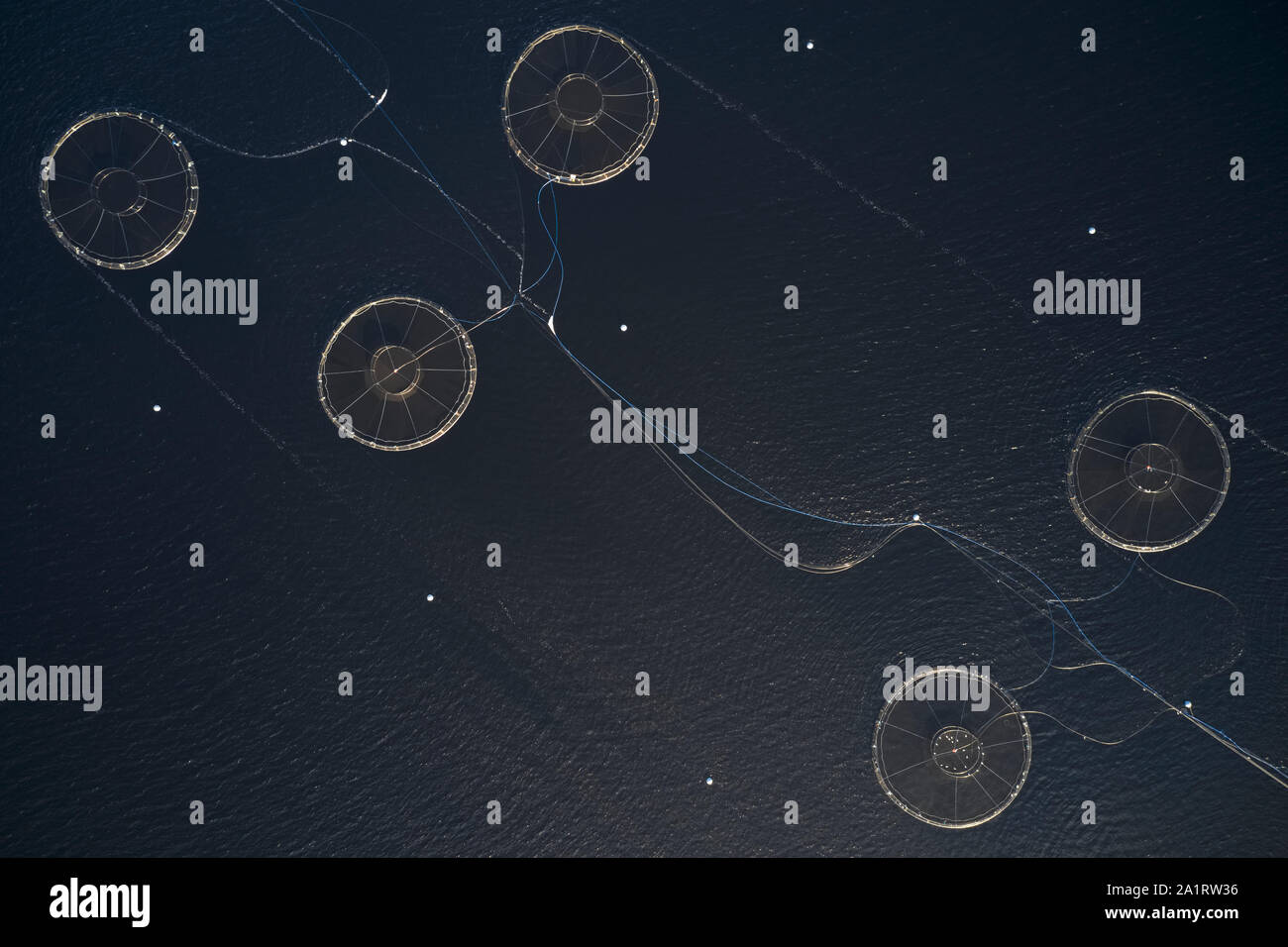 Fish farm salmon sea nets farming at sea loch Argyll Scotland UK Stock