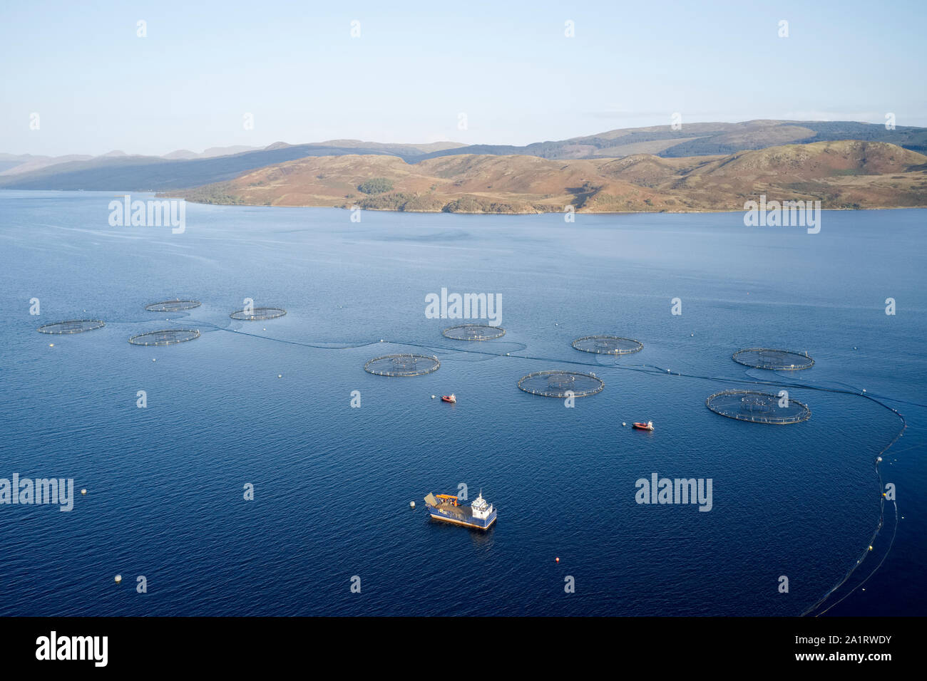Fish farm salmon sea nets farming at sea loch Argyll Scotland UK Stock