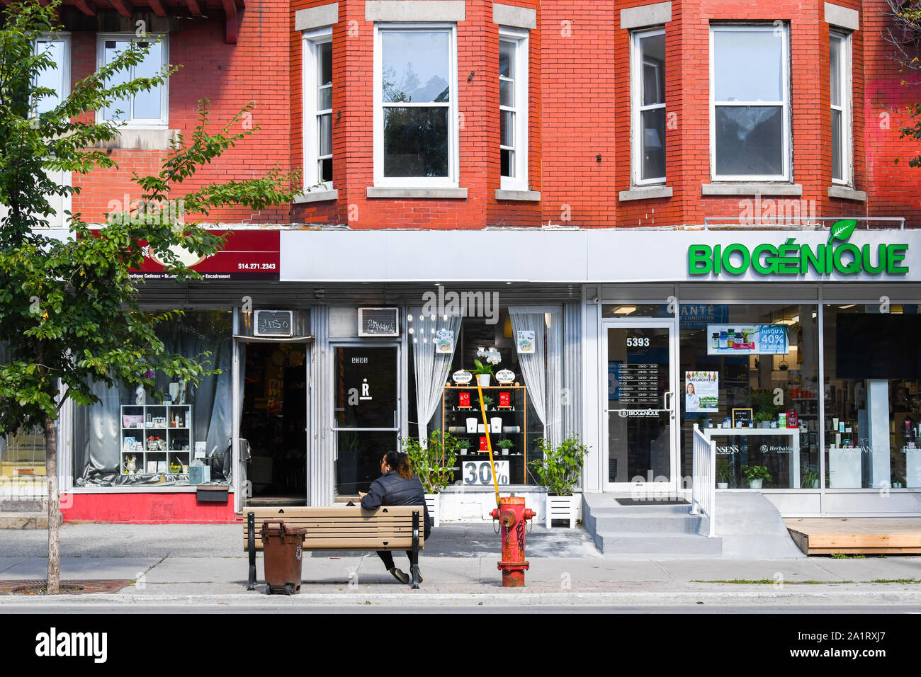 Shops, Park avenue commercial street, Montreal, Canada Stock Photo Alamy