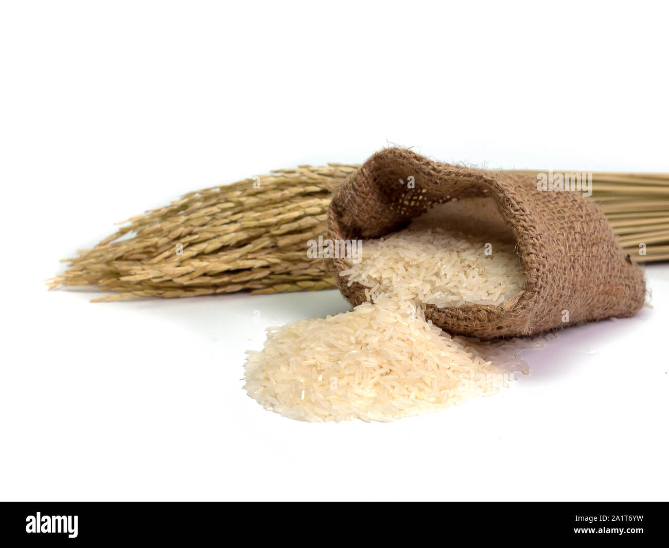 rice seed , Placed on a white background . Stock Photo