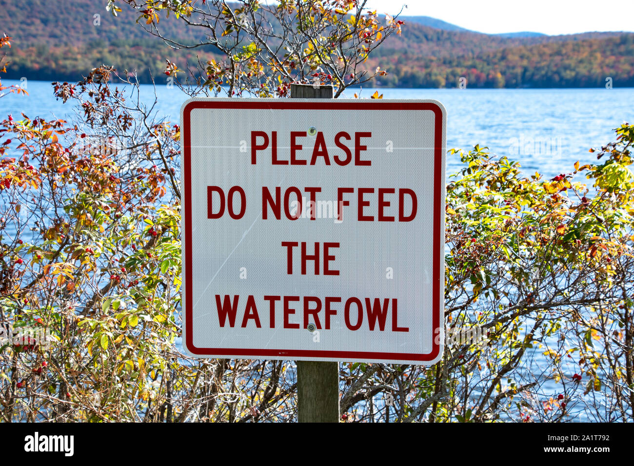 A "Please do not feed the waterfowl" sign at the village park on