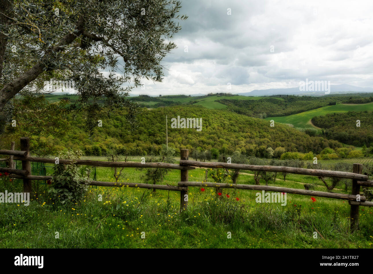 Tuscan Countryside With Poppies High Resolution Stock Photography and ...