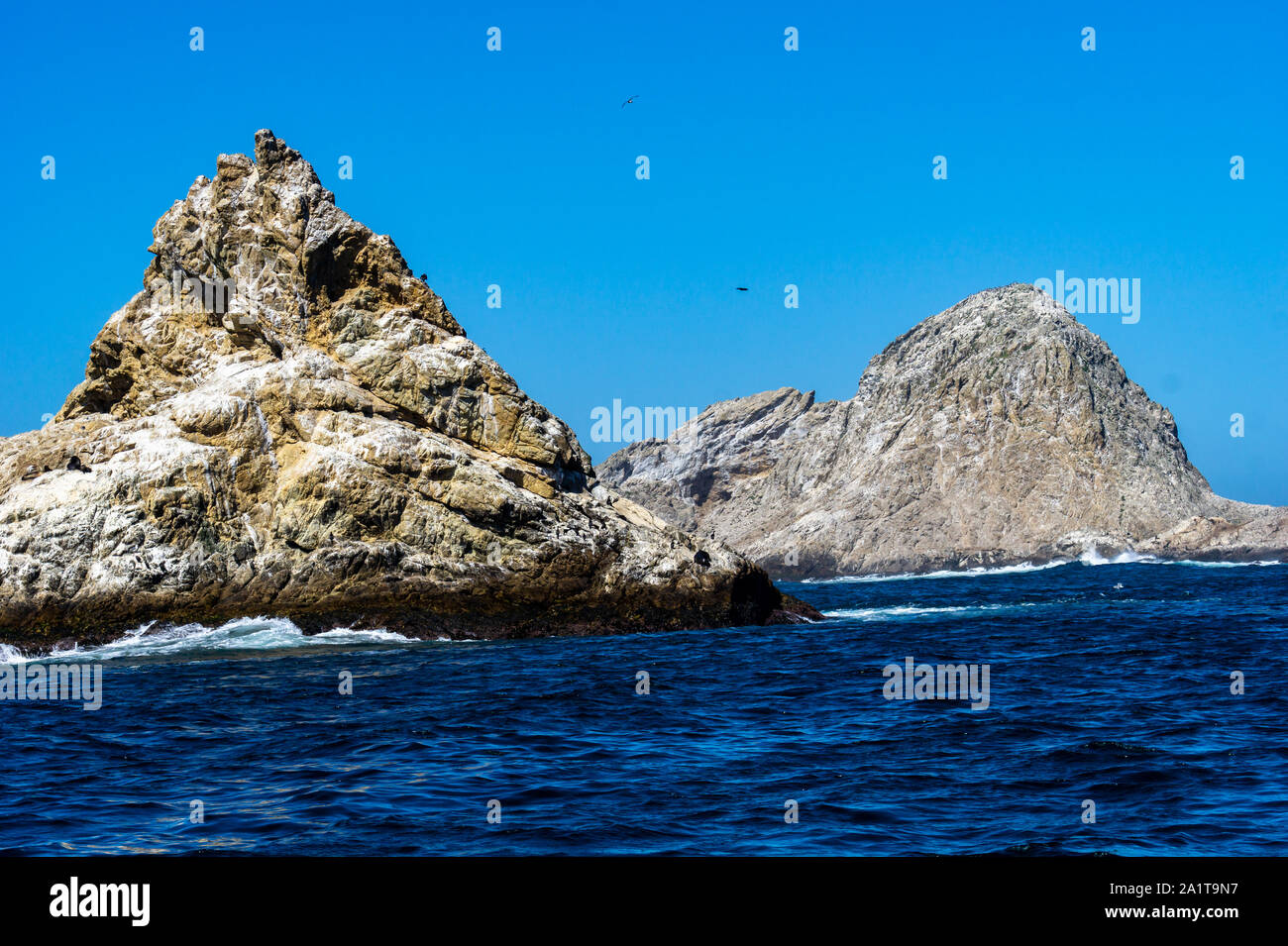 White and yellow rock sticking out of the wild and wavy ocean like a devil's tooth at the Farallon islands, shaped like a monster. Stock Photo