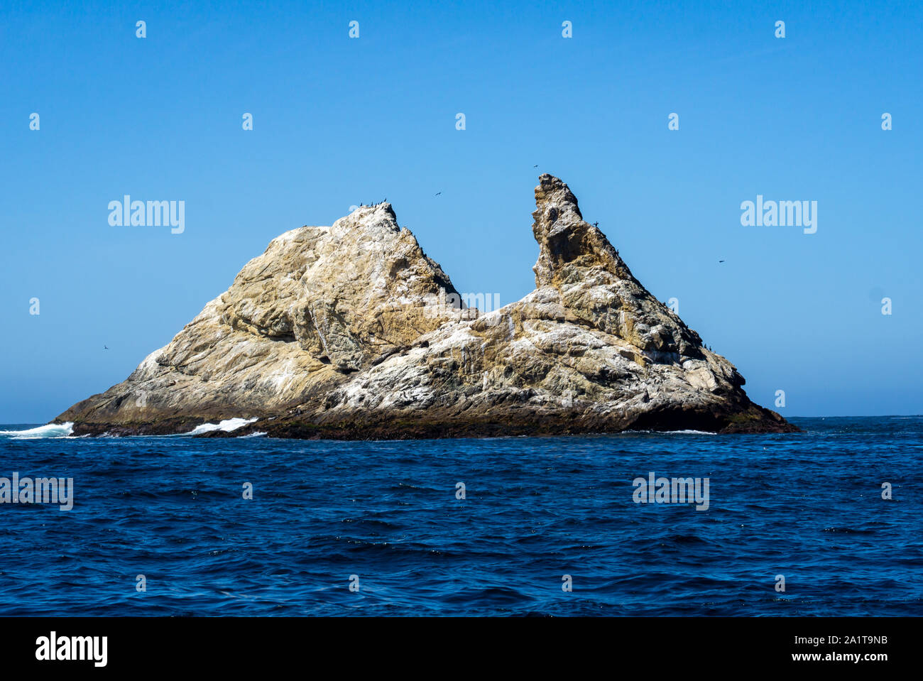 White and yellow rock sticking out of the wild and wavy ocean like a devil's tooth at the Farallon islands, shaped like a monster. Stock Photo
