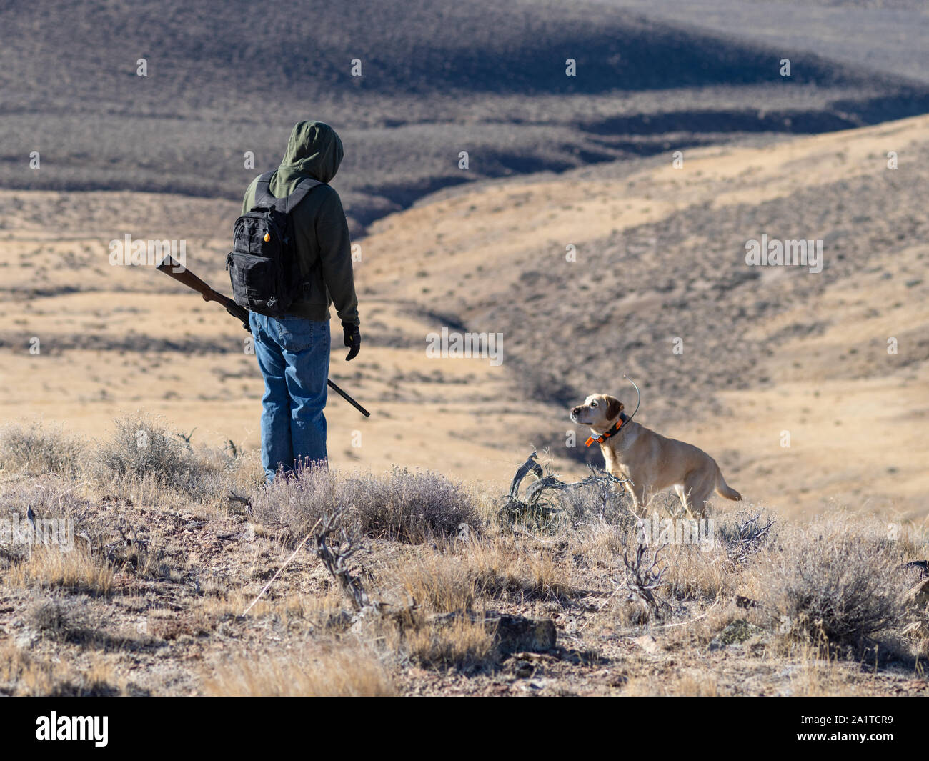 Hunt range hires stock photography and images Alamy