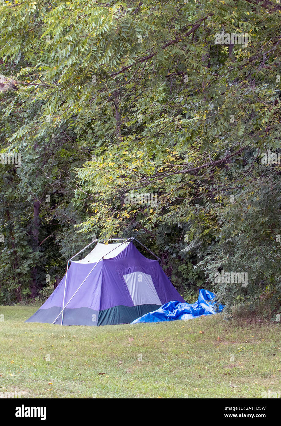 A small blue tent is set up for a fun, outdoor camping trip in the Indiana USA woods Stock Photo