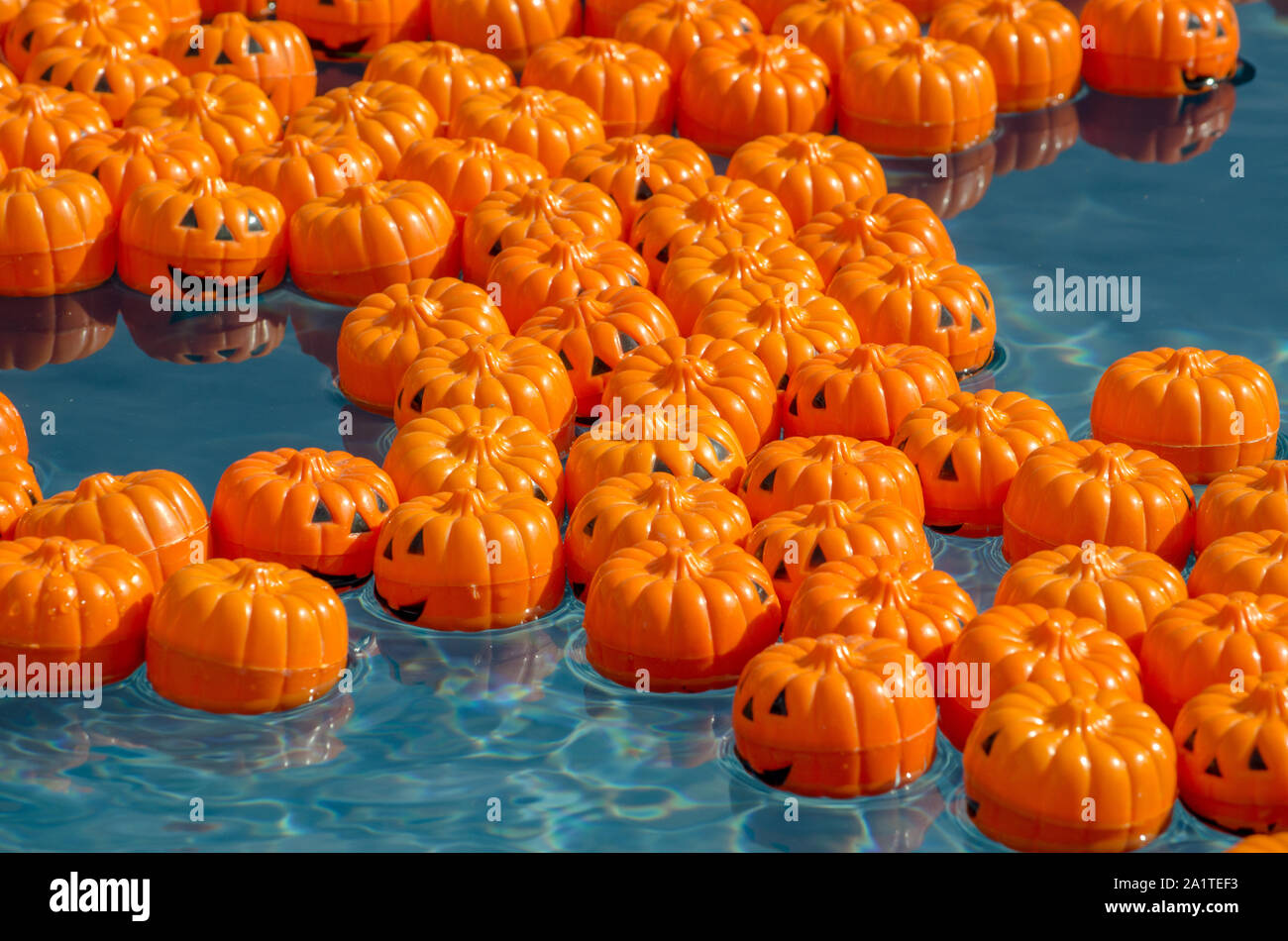 Tiny pumpkins float in a child's pool, all marked on the bottom with a special number. Pick the right number, win a great prize! Stock Photo