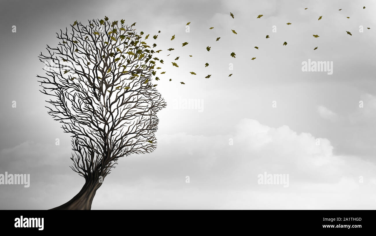 Aging or Ageing and growing older concept as a tree shaped as a human head losing leaves as a health symbol for senior care or longevity. Stock Photo