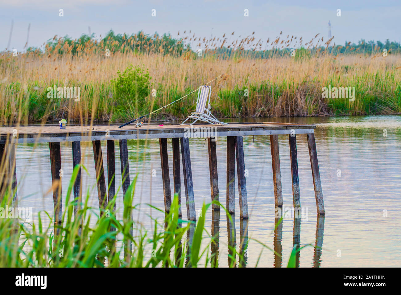 Fishing rod on a old pontoon, lake full of reed background Stock Photo ...