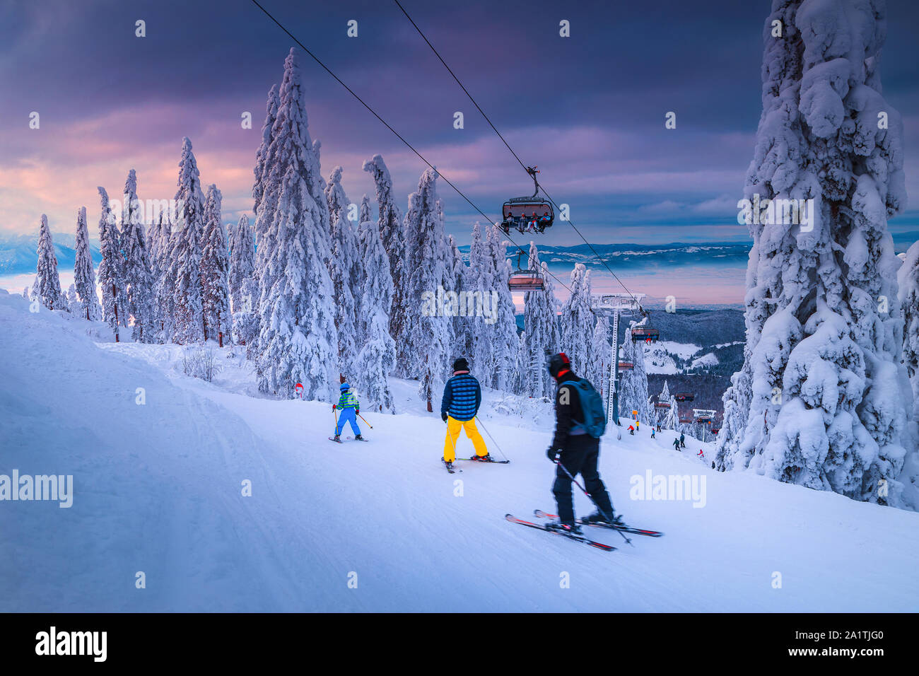 Beautiful snow covered trees and winter ski resort with fast ski lift. Active skiers skiing