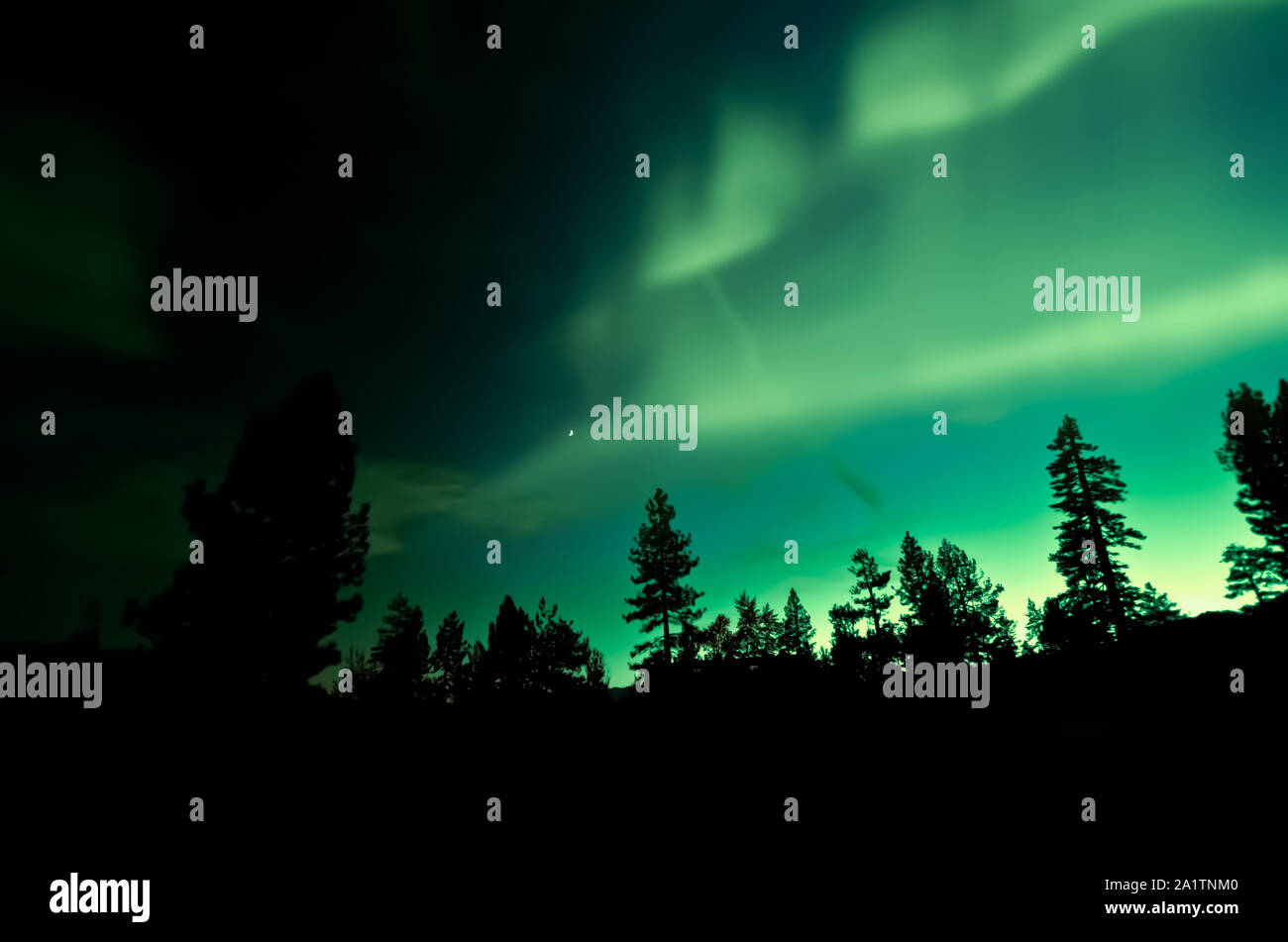 Northern lights aurora borealis over trees and mountain Stock Photo - Alamy
