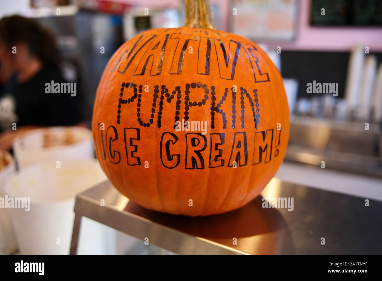 Pumpkin at store with a native flavored ice cream adverstising message. Stock Photo