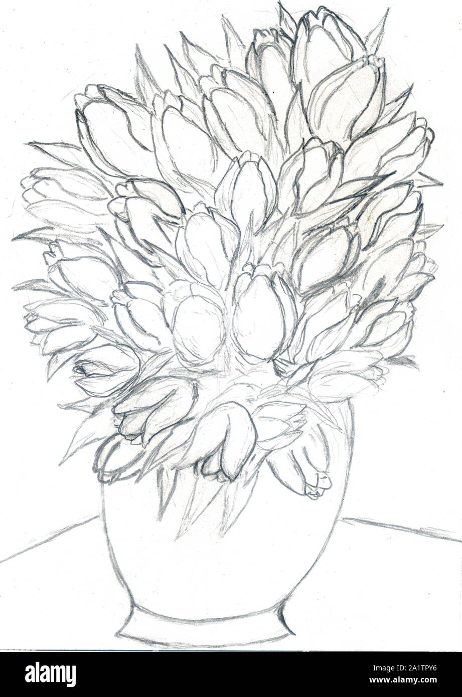 Sketch Elegant Illustration Of Bouquet Of Tulips In A Vase