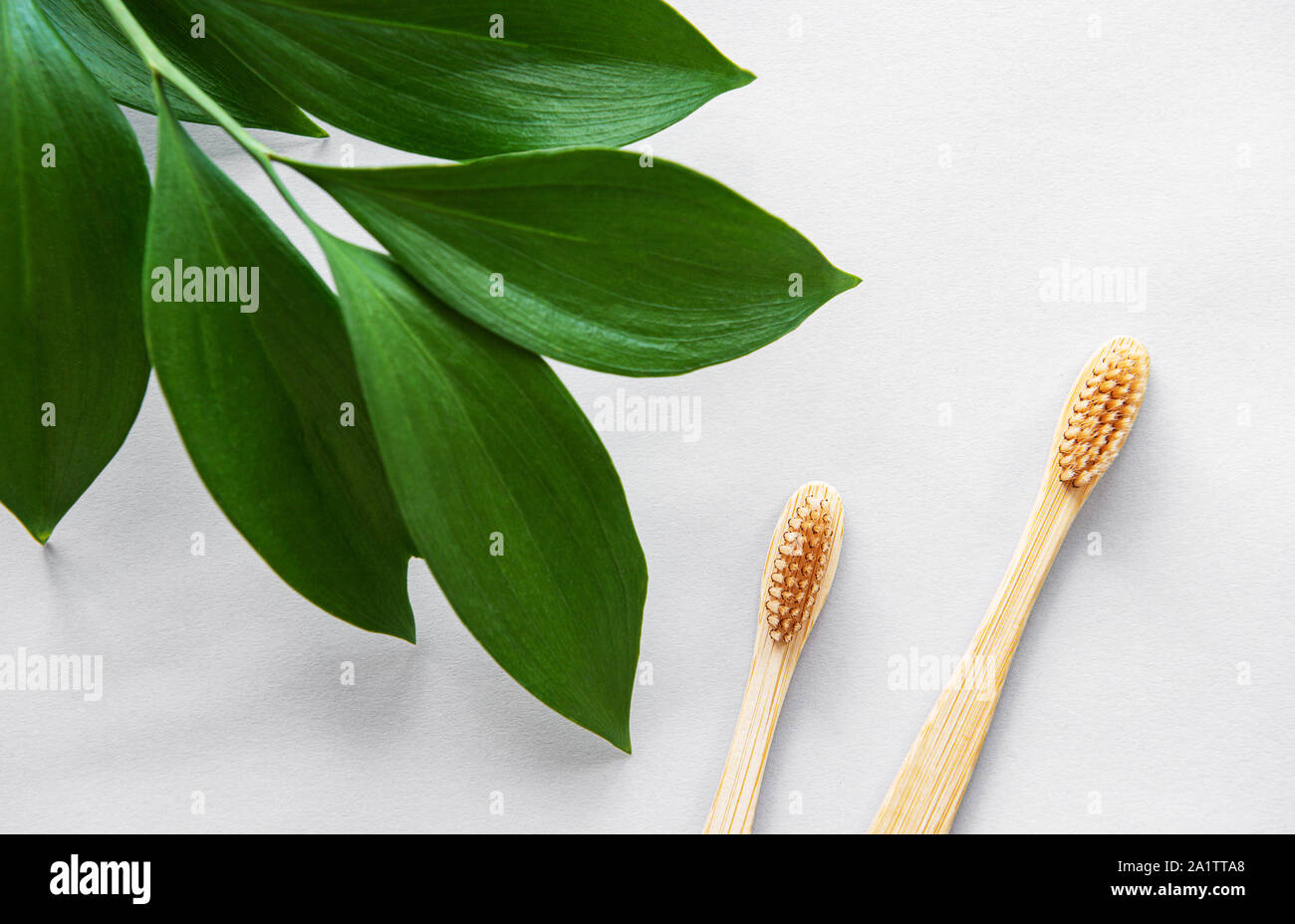Eco friendly natural bamboo toothbrushes on white background with green ...
