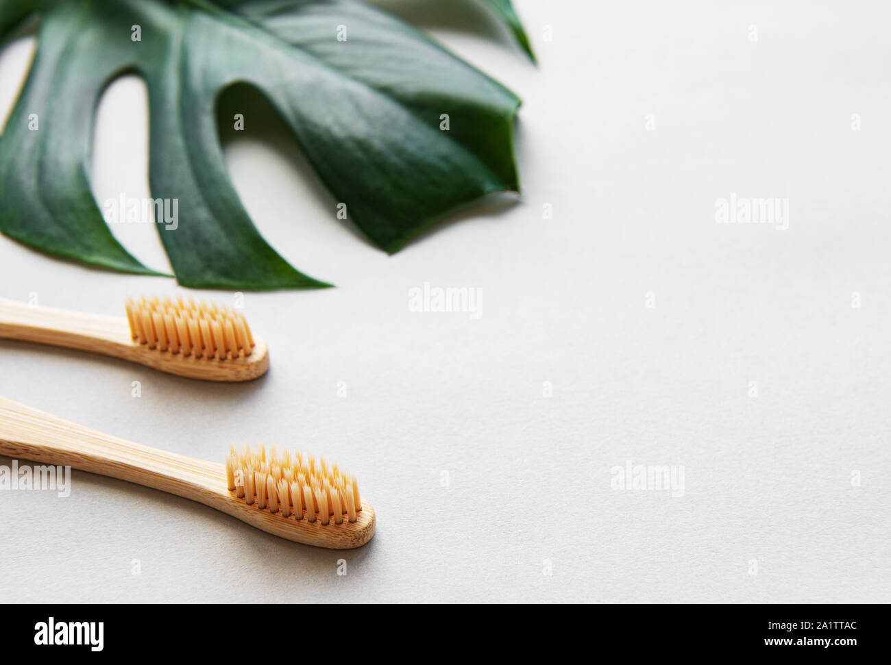 Eco friendly natural bamboo toothbrushes on white background with green ...