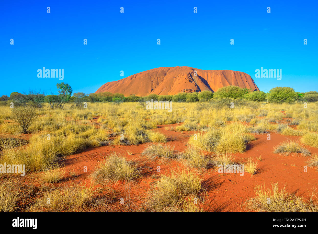 Red sand of Australian outback at Ayers Rock in dry season, huge sandstone monolith in Uluru-Kata Tjuta National Park, central Australia, Northern Stock Photo
