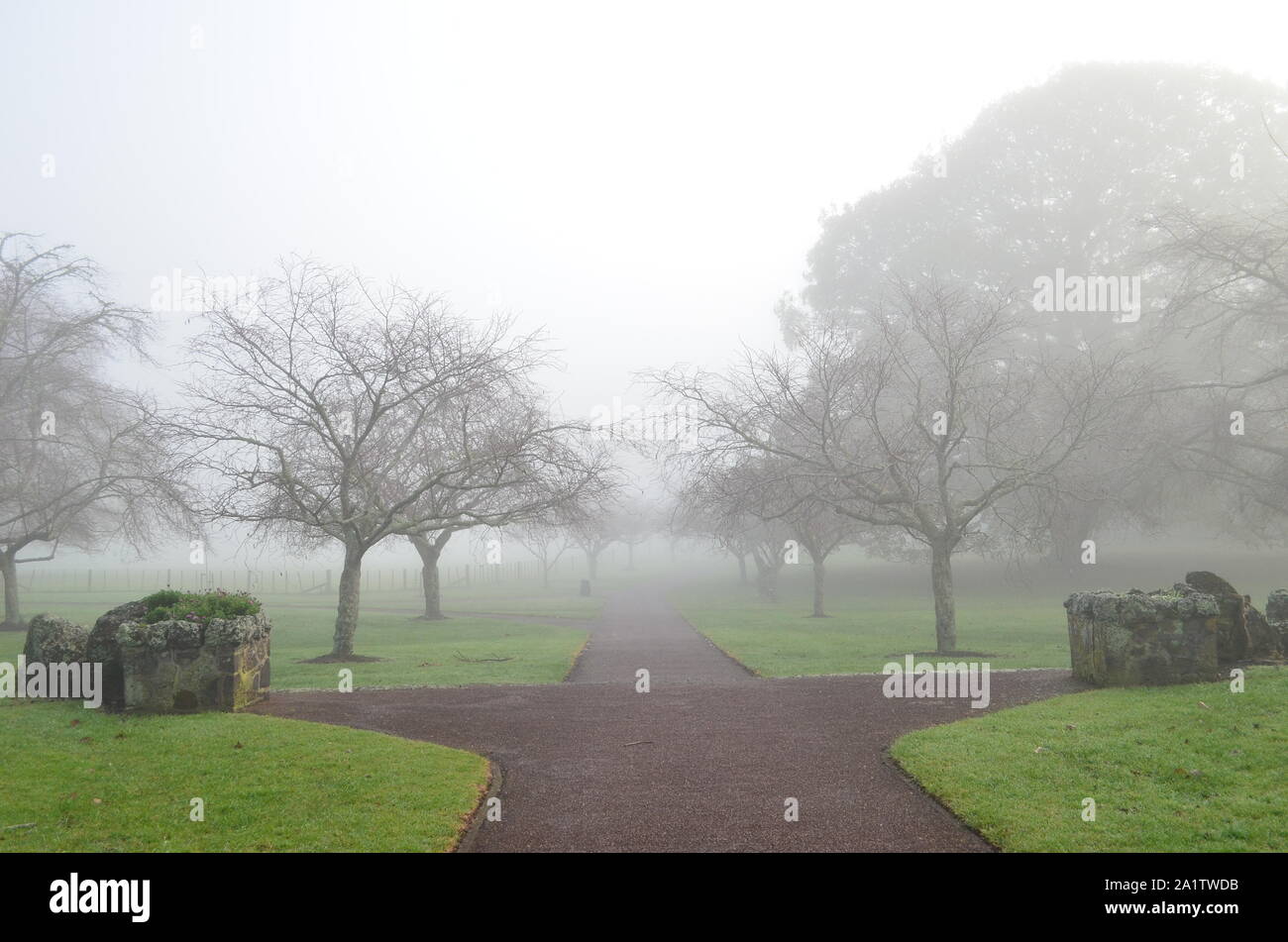 Auckland’s Quiet Acquisition: Beyond Consular Convenience