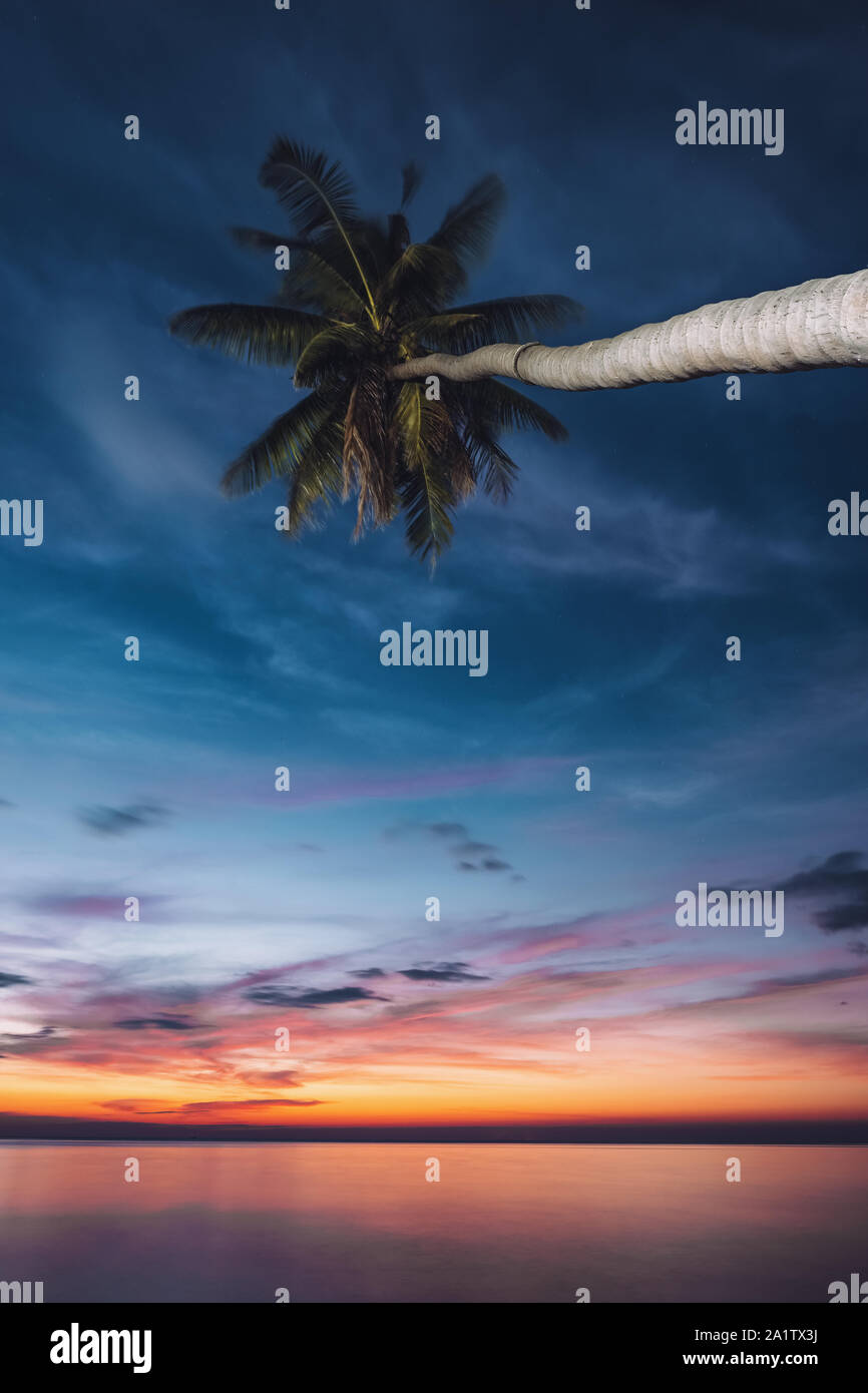 Tropical beach sunset palm trees hi-res stock photography and images ...
