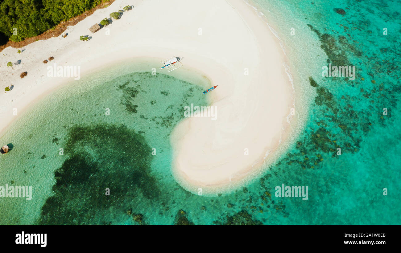 Aerial view of sandy beach on a tropical island with palm trees by ...