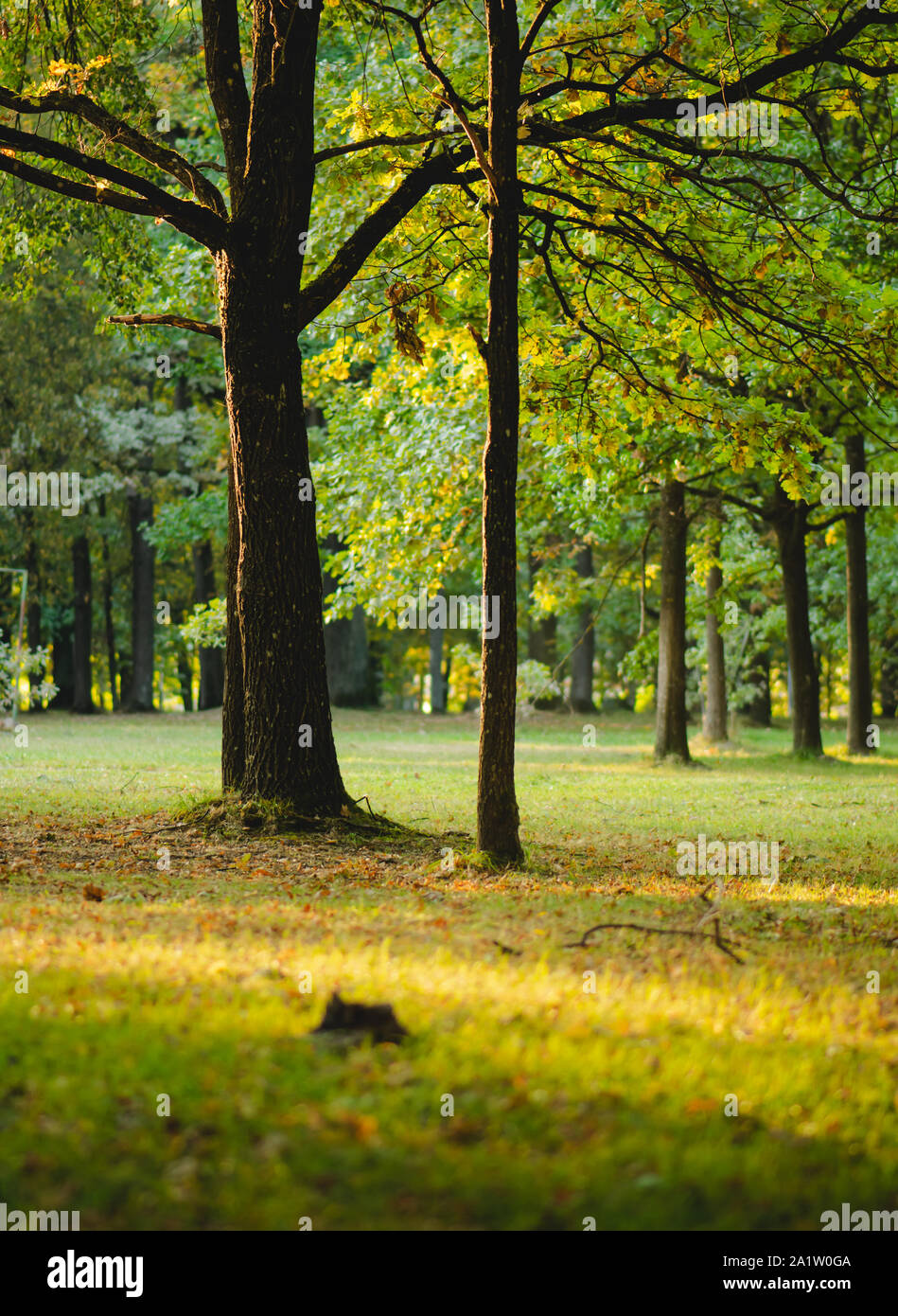 Colorful autumn park in Kaunas city, Lithuania. Stock Photo