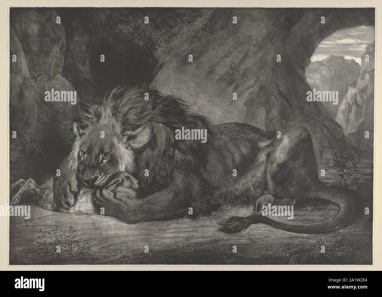Lion of the Atlas Mountains,182930.jpg - 2A1W2E4 Stock Photo
