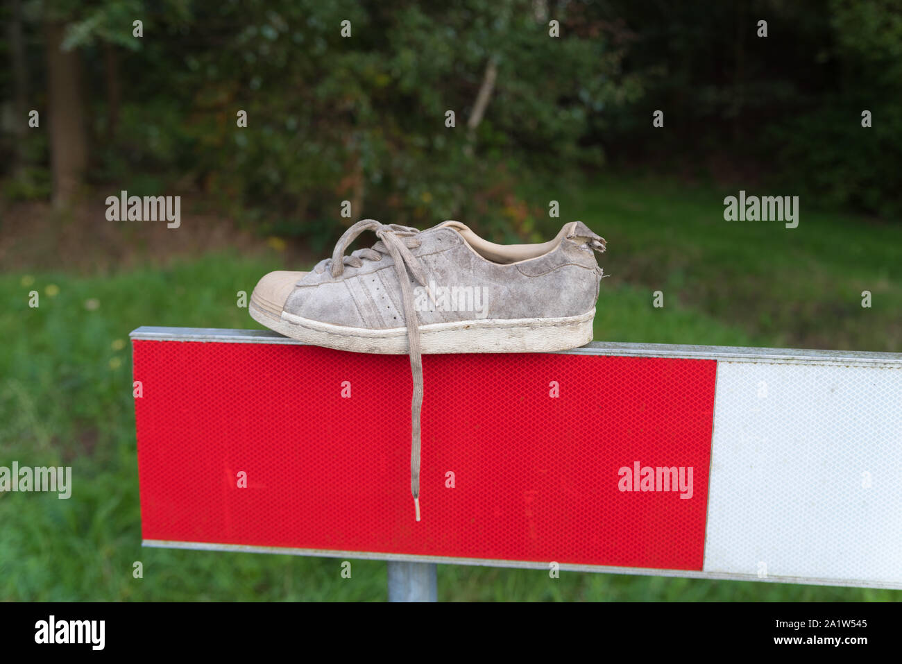 Волшебный лес предметы. Потерянный ботинок. Стихи английских авторов для детей. Потерянный башмак. Пропали туфли.