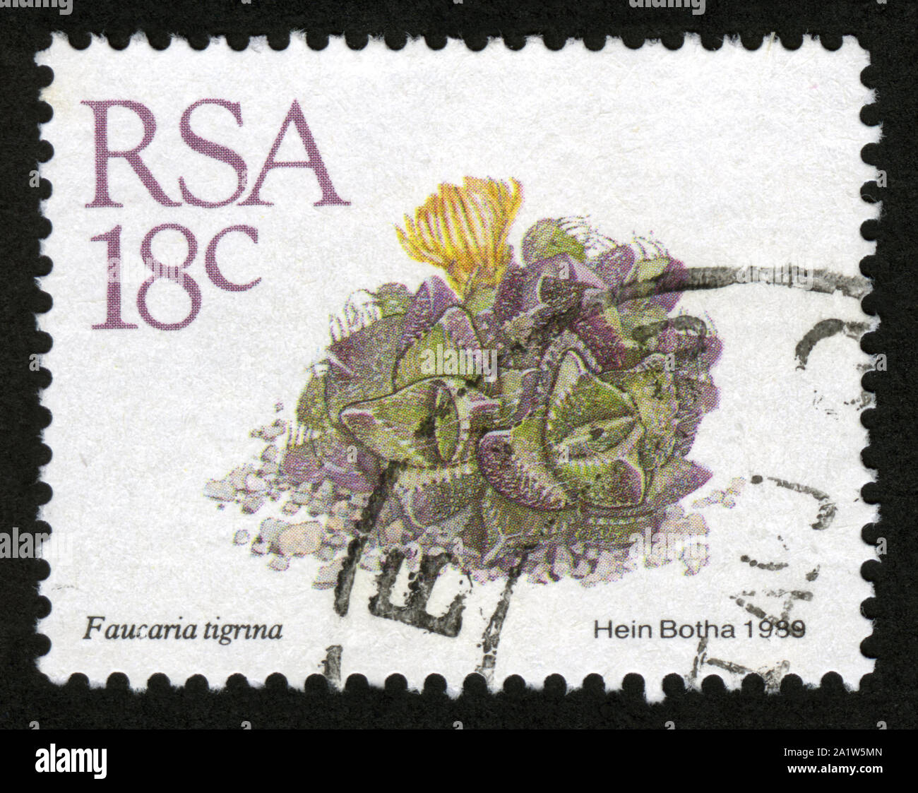 Stamp print in South Africa,1989,flowers, Faucaria tigrina Stock Photo