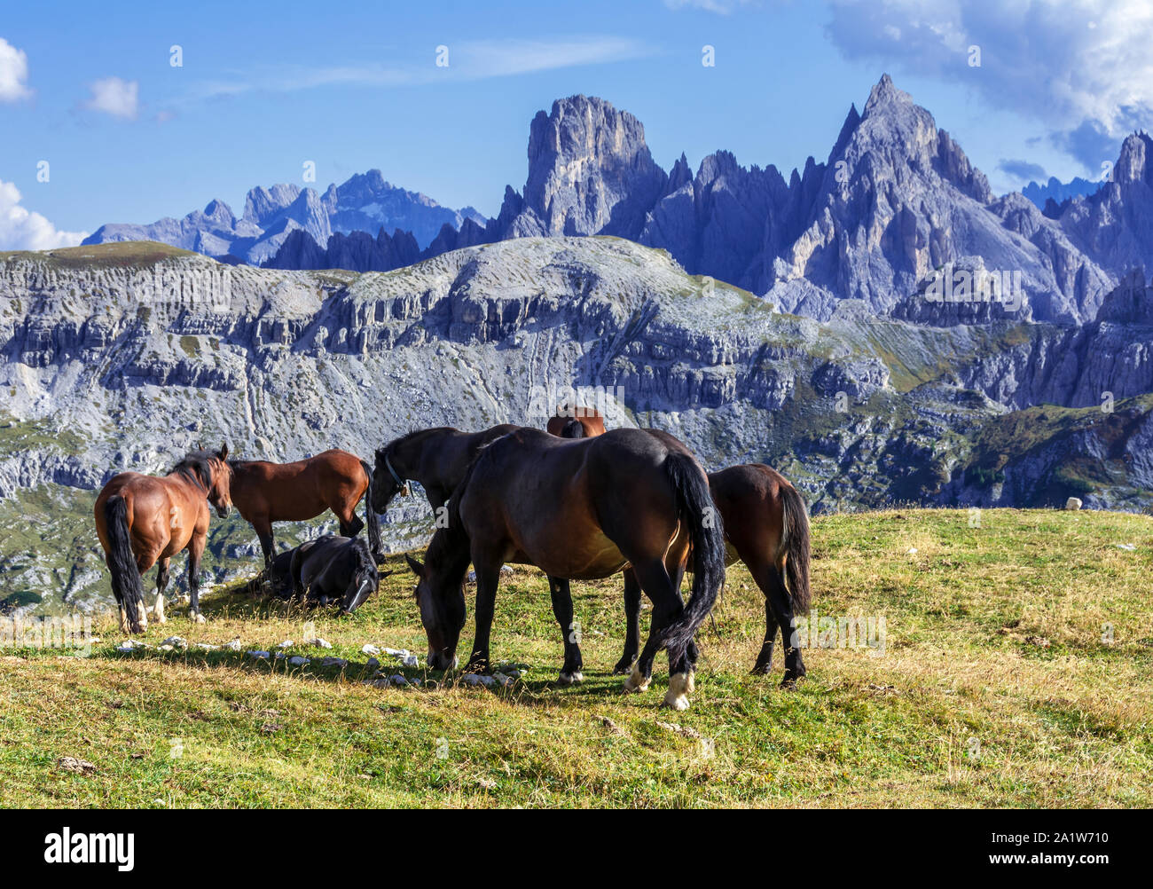dolomite mountains in northern italy Stock Photo - Alamy